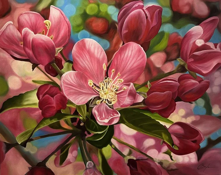 Floral Paintings in oil — Charmaine Boyle